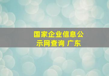 国家企业信息公示网查询 广东